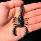 Кулон объемный "Big Scorpion" из стали со стальной цепочкой